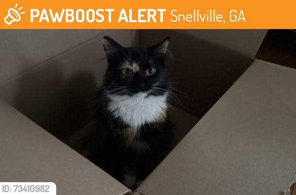 Found/Stray Female Cat last seen Sterling creek pointe, Snellville, GA 30078