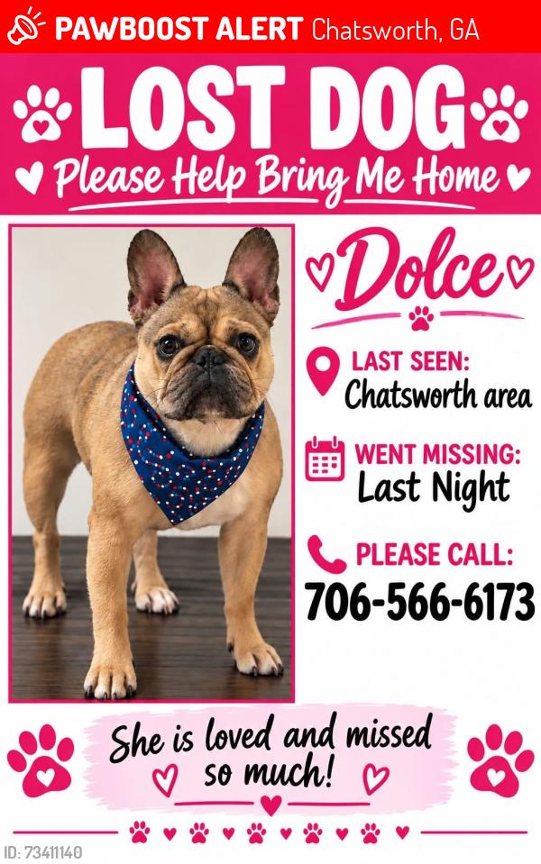 Lost Female Dog last seen Woodlawn Rd,, Chatsworth, GA 30705