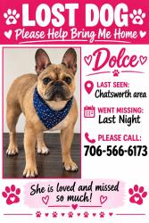 Lost Female Dog last seen Woodlawn Rd,, Chatsworth, GA 30705