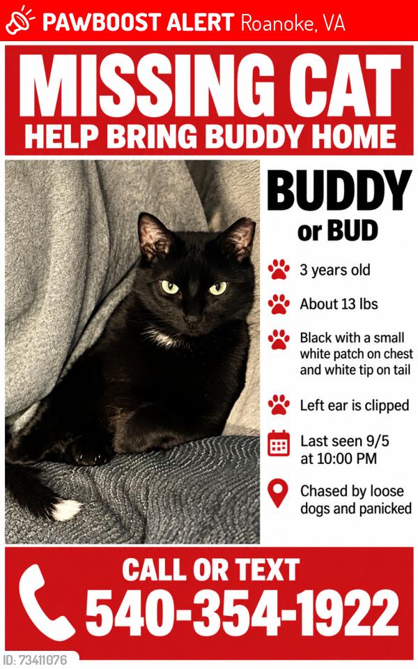 Lost Male Cat last seen Charnwood Cir. and Sierra Dr., Roanoke, VA 24012