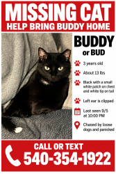Lost Male Cat last seen Charnwood Cir. and Sierra Dr., Roanoke, VA 24012