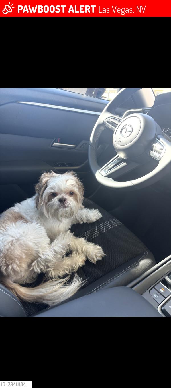 Lost Male Dog last seen Sunset and Grand Canyon Tantara community, Las Vegas, NV 89101