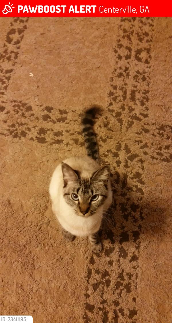 Lost Female Cat last seen Carl Vinson Pkwy, Centerville, GA 31028