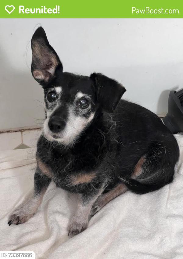 Reunited Male Dog last seen Castlebridge and Oakengate in Salisbury neighborhood, Midlothian, VA 23113