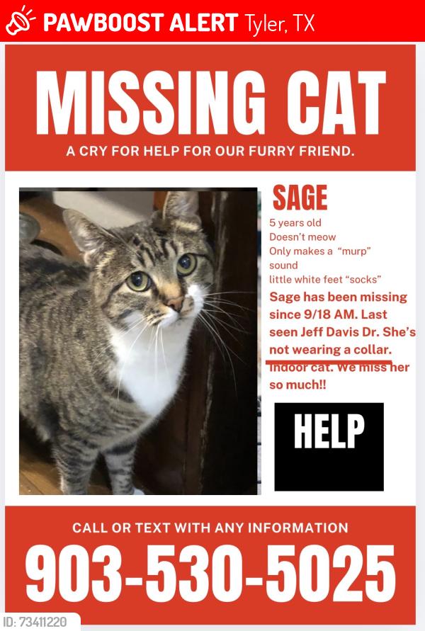Lost Female Cat last seen Paluxy, Tyler, TX 75703