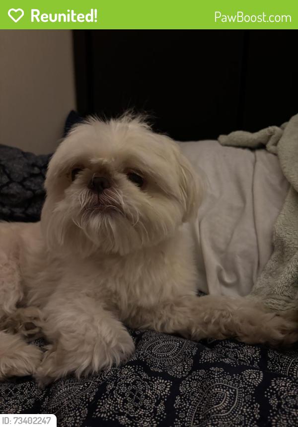 Reunited Male Dog last seen Open Bible church, Valdosta, GA 31605