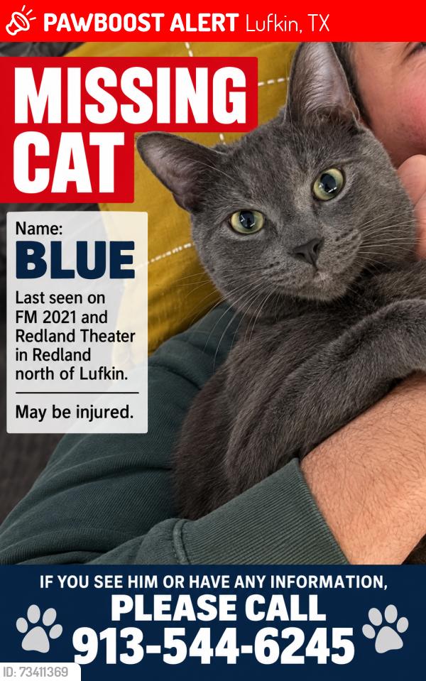 Lost Male Cat last seen redland theatre road and 2021, Lufkin, TX 75901