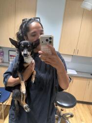 Found/Stray Male Dog last seen Near Lakewood and sterns, Lakewood, CA 90712
