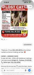Lost Male Cat last seen Near wright ct, Fontana, CA 92336