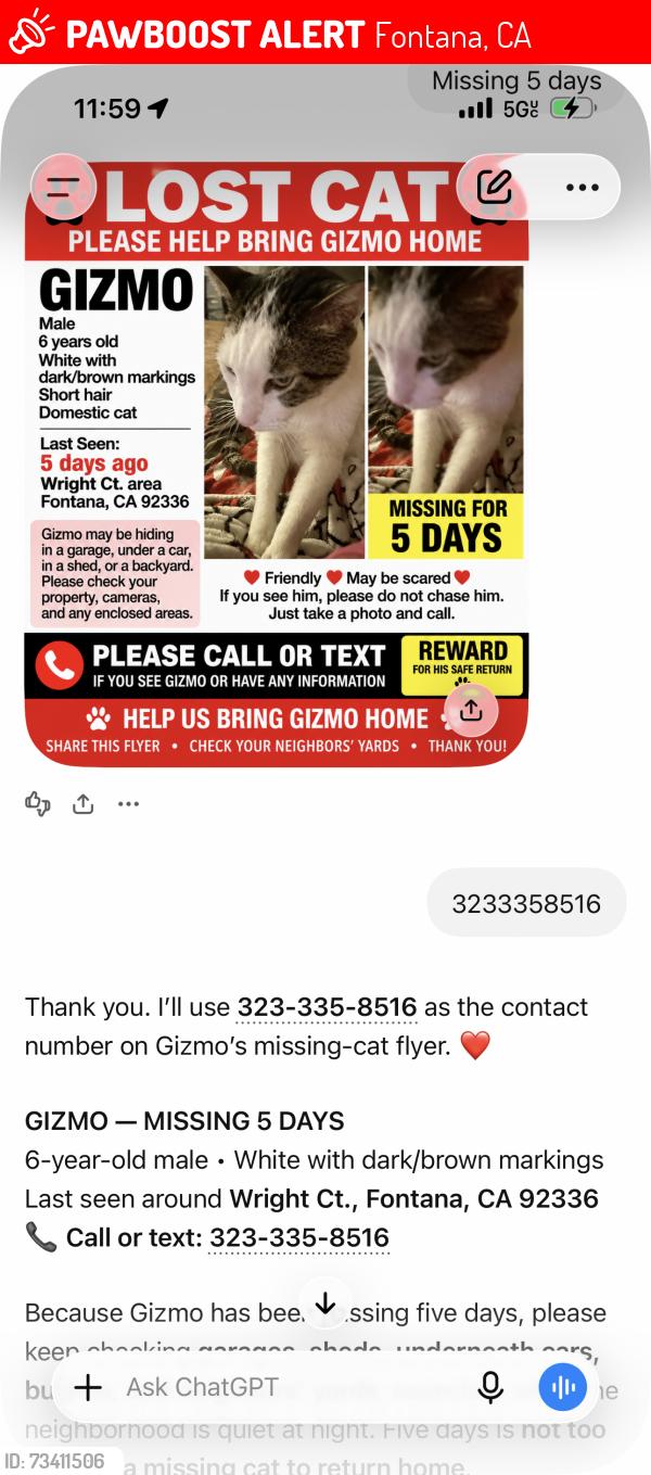 Lost Male Cat last seen Near wright ct, Fontana, CA 92336