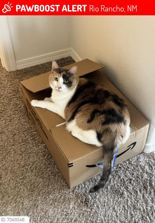 Lost Female Cat last seen Broadmoor and Norwich- Hidden Valley, Rio Rancho, NM 87144
