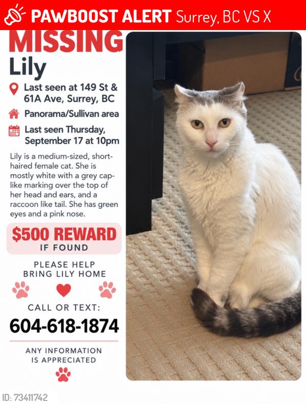 Lost Female Cat last seen Near St & 61A Ave, Surrey, BC V3S 7X3