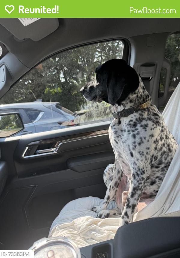 Reunited Male Dog last seen Settlers Ridge and Valley Creek, Woodbury, MN 55129