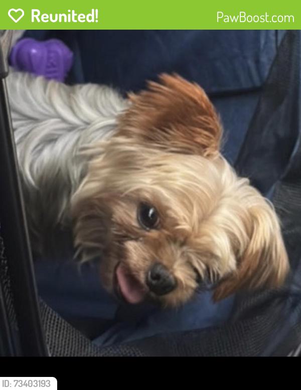 Reunited Male Dog last seen Pennsylvania, San Bernardino, CA 92410