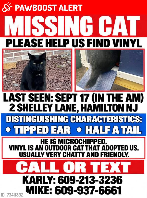 Lost Male Cat last seen Matthew drive, Hamilton Township, NJ 08690