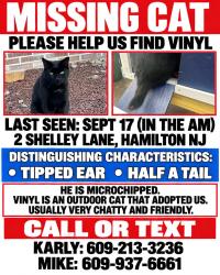 Lost Male Cat last seen Matthew drive, Hamilton Township, NJ 08690