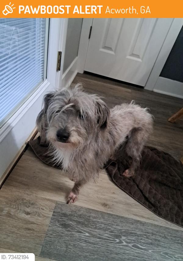 Found/Stray Male Dog last seen Allatoona High school, Acworth, GA 30101