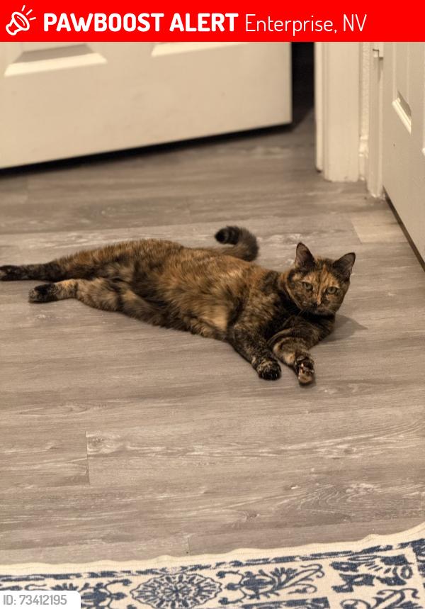 Lost Female Cat last seen Lindell & Jo Rae, Enterprise, NV 89141