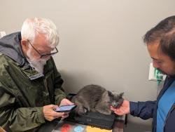 Reunited Male Cat last seen Pilgrim and Quinta Rd/Nicholas, Greenwich, CT 10573