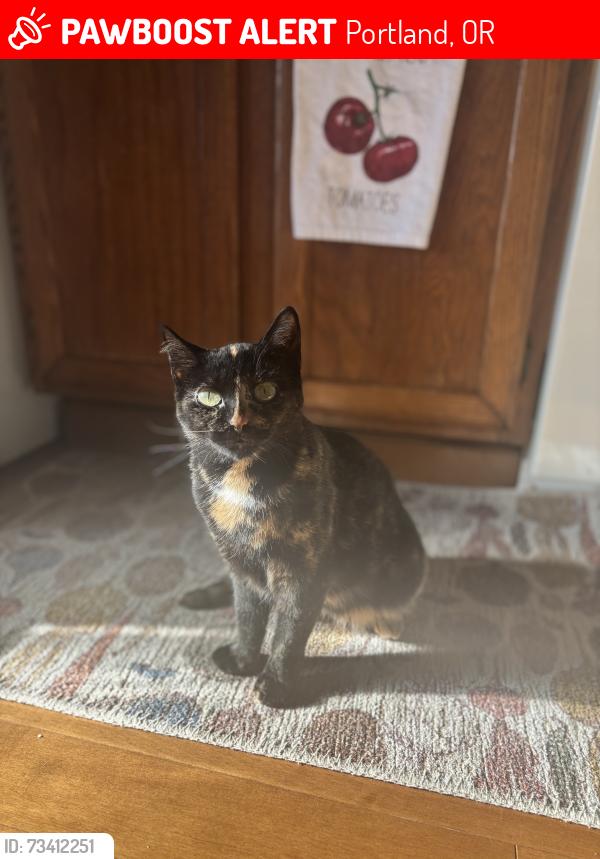 Lost Female Cat last seen 76th and Preascott, Portland, OR 97218