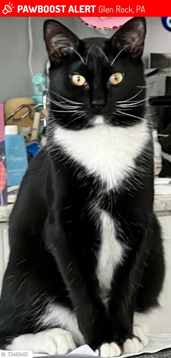 Lost Male Cat last seen Smyder Road, Glen Rock, PA 17327
