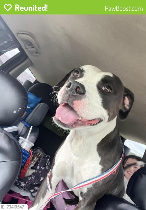 Reunited Female Dog last seen Jefferson dr, Zumbrota, MN 55992
