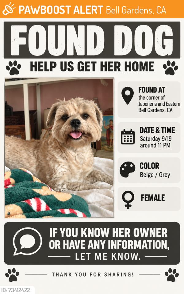 Found/Stray Female Dog last seen Jaboneria and eastern, Bell Gardens, CA 90201