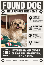 Found/Stray Female Dog last seen Jaboneria and eastern, Bell Gardens, CA 90201