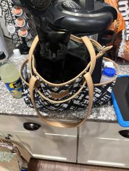 Lost Female Cat last seen Dudley Lane, Moneta, VA 24121
