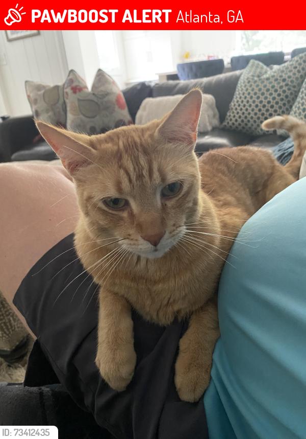 Lost Male Cat last seen Near Blackland Dr., Atlanta, GA 30342, Atlanta, GA 30342