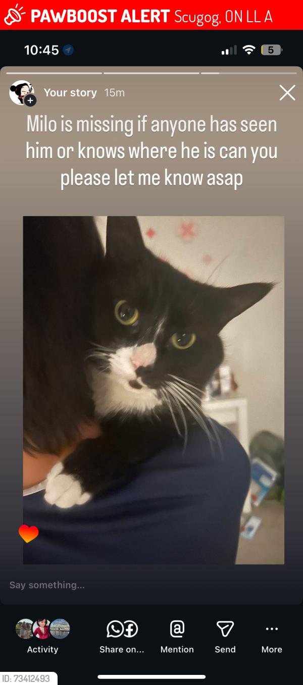 Lost Male Cat last seen Near Glenhaven Court, Scugog, ON L9L 0A8