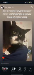 Lost Male Cat last seen Near Glenhaven Court, Scugog, ON L9L 0A8