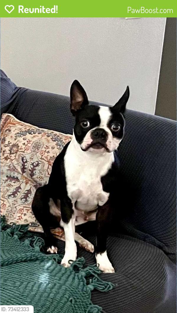 Reunited Male Dog last seen Manzanita St, Murrieta, CA 92563
