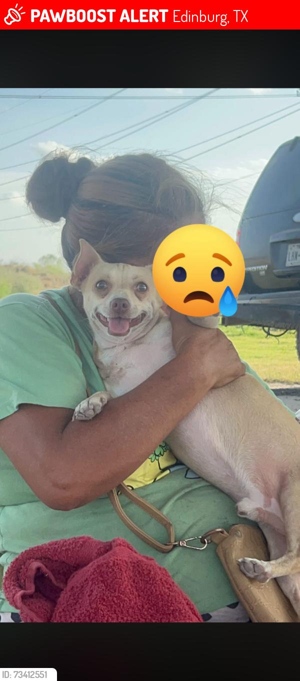Lost Male Dog last seen Don hugo produce, Edinburg, TX 78542