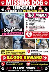 Lost Female Dog last seen Near - 7178 Columbia Gateway Drive, Columbia, MD 21046