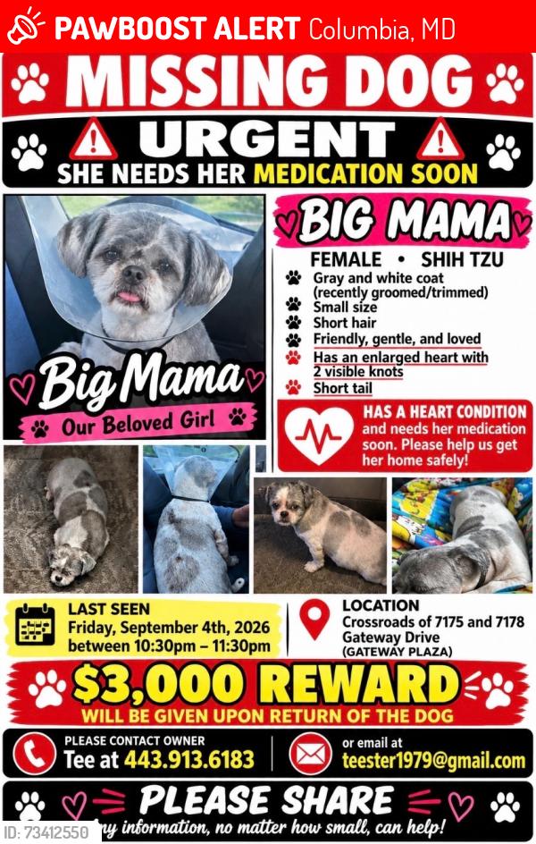 Lost Female Dog last seen Near - 7178 Columbia Gateway Drive, Columbia, MD 21046