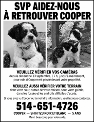 Lost Male Dog last seen Mont suisse, Saint-Sauveur, QC J0R 1R2
