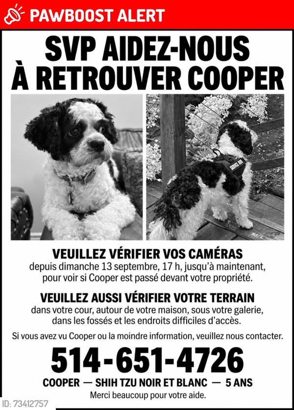 Lost Male Dog last seen Mont suisse, Saint-Sauveur, QC J0R 1R2