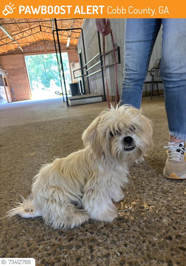Found/Stray Male Dog last seen Villa Rica Rd SW, Cobb County, GA 30064