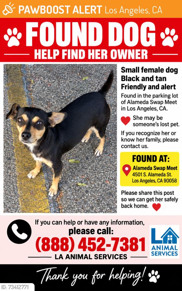 Found/Stray Female Dog last seen Near s alameda st Los Angeles ca 90058, Los Angeles, CA 90058