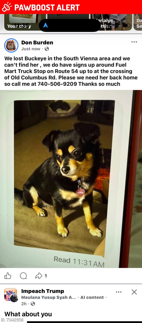 Lost Female Dog last seen Old Columbus Rd and State Rt 54, Old Columbus Rd, OH 45369