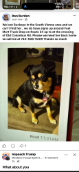 Lost Female Dog last seen Old Columbus Rd and State Rt 54, Old Columbus Rd, OH 45369