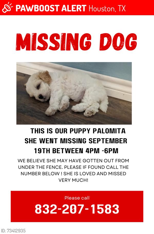 Lost Female Dog last seen Maywood forest Houston TX 77088, Houston, TX 77088