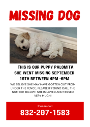 Lost Female Dog last seen Maywood forest Houston TX 77088, Houston, TX 77088