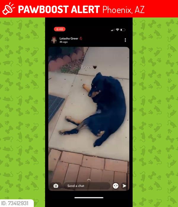 Lost Male Dog last seen SOUTHERN AVE AND 44TH PLACE, Phoenix, AZ 85040