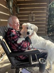 Lost Male Dog last seen Golden pond lane, Florence County, SC 29506