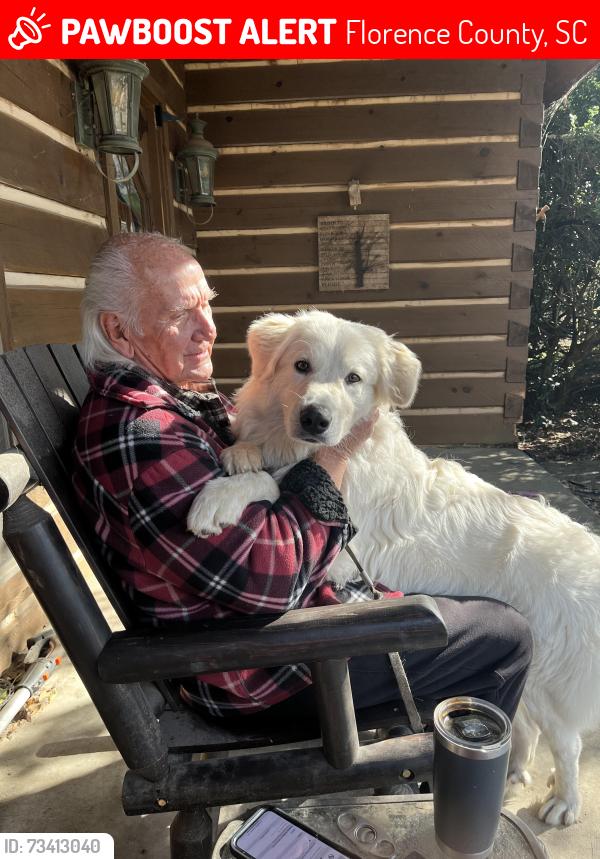 Lost Male Dog last seen Golden pond lane, Florence County, SC 29506