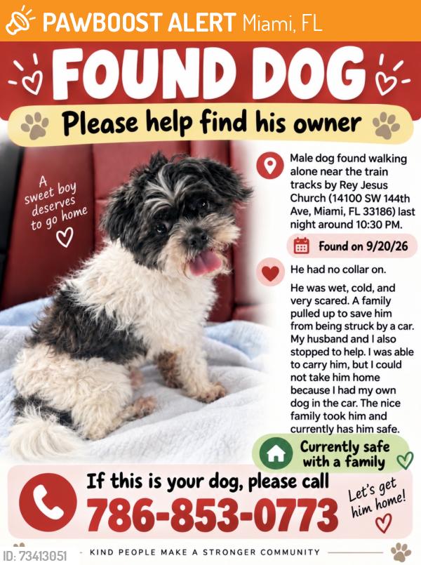 Found/Stray Male Dog last seen Near train tracks by 14100 SW 144th Ave, Miami, FL 33186