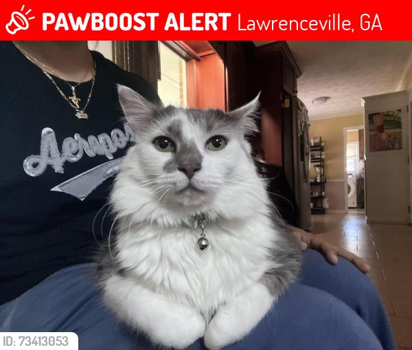 Lost Male Cat last seen Near Plantation Ct in Lawrenceville, Lawrenceville, GA 30044