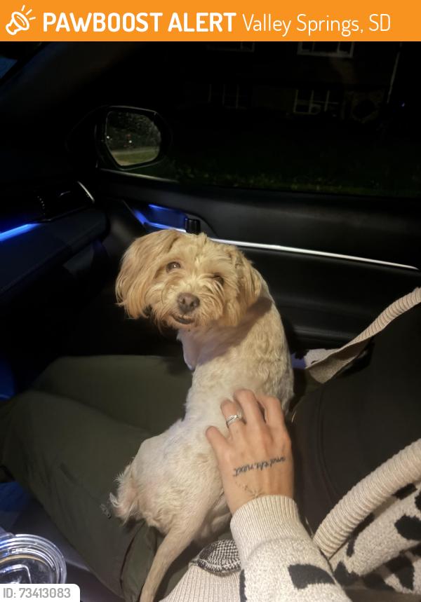Found/Stray Female Dog last seen Southside & Mae Rose Drive, Valley Springs, SD 57068
